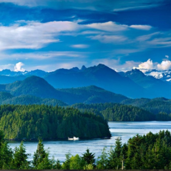 Profile Picture of Allison Brett (@bella_coola) on Poshmark