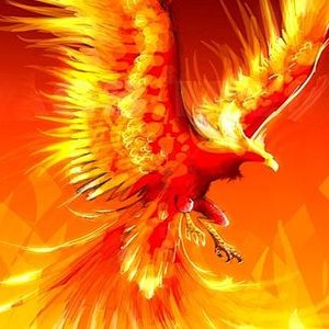 Profile Picture of Nichole Darling (@NikkiDarling05) on Twitter