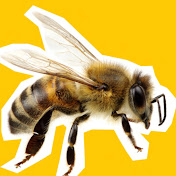 Beely - Youtube Profile Picture of Beely (@Beely-zu9kx) on Youtube