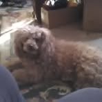 Profile Picture of Kay Kempher Howling (@kay.kempherhowling) on Facebook
