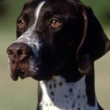 Profile Picture of Claire Marvin (@ClaireMarvin5) on Twitter