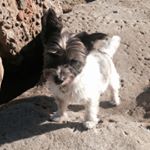 Profile Picture of Nicky Furner Helmers (@helmers4175) on Instagram