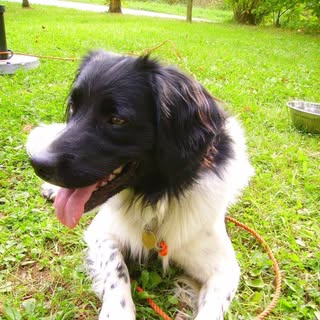 Profile Picture of Peter (@peter_lonis) on Instagram