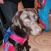 Profile Picture of Alfie Roberts (@alfie.roberts.33886) on Facebook