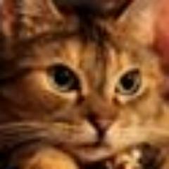 Profile Picture of Steven McCloy (@mccloy6) on Twitter