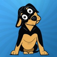 Profile Picture of Dog Decoder (@Shewhispers) on Twitter