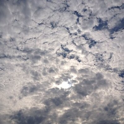 Profile Picture of Colleen Gordon (@Coll_Gordon) on Twitter