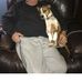 Profile Picture of Brian Dredger (@brian.dredger.5) on Facebook