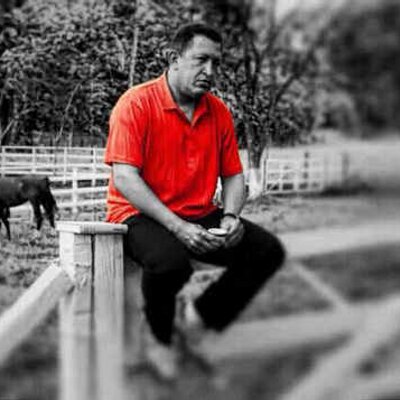 Profile Picture of Lourdes Vargas (@VargasLu) on Twitter