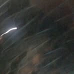 Alice Vendetti - Facebook Profile Picture of Alice Vendetti (@alice.vendetti.3) on Facebook