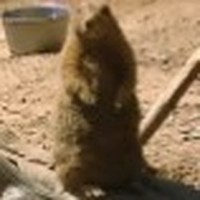 Profile Picture of Robert Kinner (@robert-kinner-4) on Quora