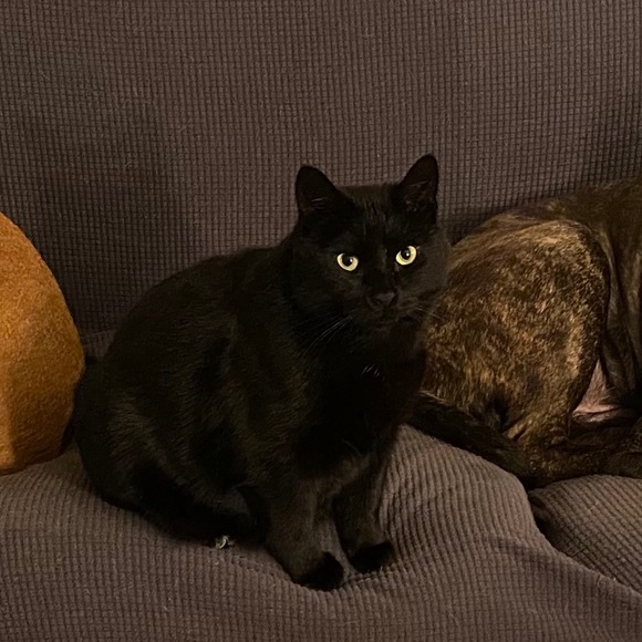 Profile Picture of Robert Miazga (@treboralex) on Poshmark