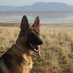Profile Picture of Eric Mcgrath (@mcgrath.eric) on Instagram