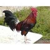 Profile Picture of Ignacio Uribe (@165613177) on Myspace