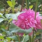 Profile Picture of Daniel Carrier (@Daniel-Carrier) on Facebook