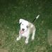 Profile Picture of James Tillett (@james.tillett.393) on Facebook
