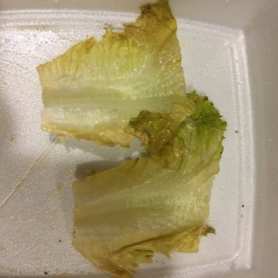 Profile Picture of Patricia Richardson (@WebbyBenny18) on Twitter