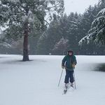 Profile Picture of Mackenzie Currie (@curriemackenzie_nz) on Instagram