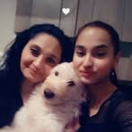 Profile Picture of Sivak David (@Sivak-David) on Facebook