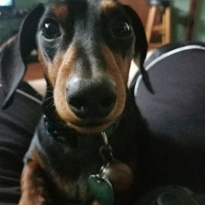 Profile Picture of Gary Moxley Jr. (@moxley_gary) on Twitter