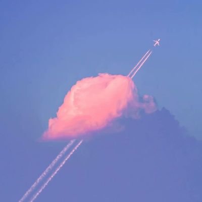 Profile Picture of Xue Wei (@xuewei79805298) on Twitter