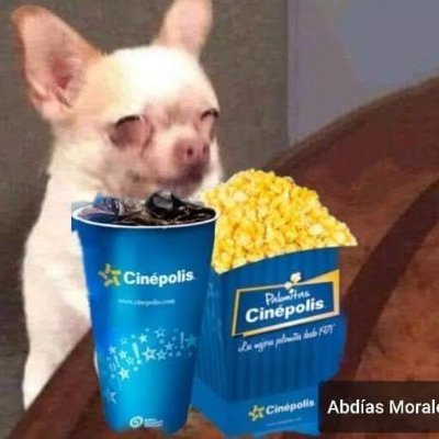 Anthony - Twitter Profile Picture of Anthony (@AnthonyCortina8) on Twitter