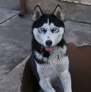 Profile Picture of Robin Wunsch (@robin.wunsch.3910) on Facebook