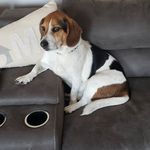 Scott Cordia - Instagram Profile Picture of Scott Cordia (@scordia1979) on Instagram