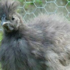 Profile Picture of Jon Raney (@raneyboy) on Twitter