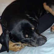 Profile Picture of Devin Mock (@devinmock2426) on Youtube