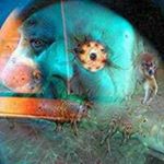 Profile Picture of David Hathaway (@howhatwhenwherewhy) on Instagram