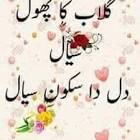Profile Picture of   Muhammad... (@muhammadpervez62) on Tiktok