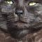 Profile Picture of David Ambühl (@david.ambuhl.79) on Facebook