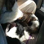 Profile Picture of Jody Ault (@jodyannid) on Instagram