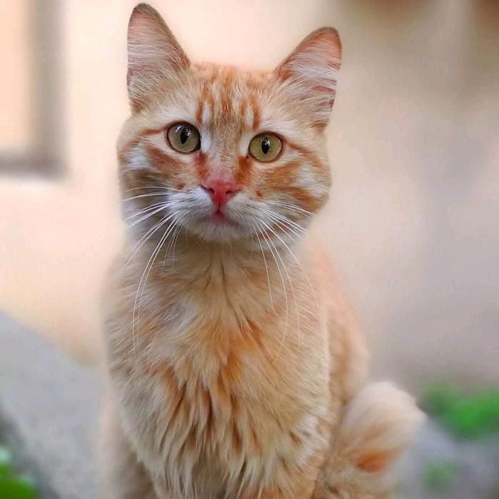 Profile Picture of CourtneyHaney (@kemmetfzv4g) on Tiktok