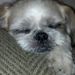 Profile Picture of Marsha Maloney (@kcbekyjoe) on Pinterest