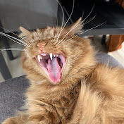 Profile Picture of Sandra Holt (@sandraholt5932) on Youtube