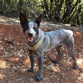 Profile Picture of Myrna (@alemanmm) on Pinterest