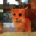 Profile Picture of Mark Tirpak (@mark_tirpak) on Instagram