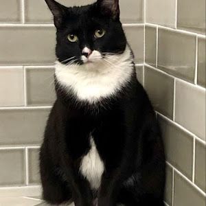 Profile Picture of Paul Gasca553 (@paulgasca1) on Tiktok