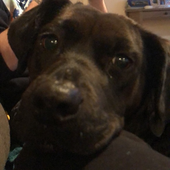 Profile Picture of Emily Arietta (@emilyarietta) on Poshmark