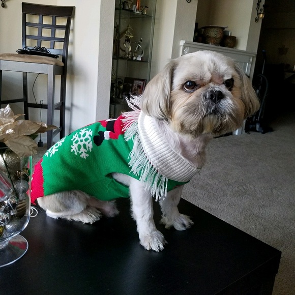 Profile Picture of Sol Perez (@solperez01) on Poshmark