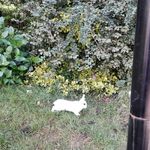 Profile Picture of Robin (@leroux.robin) on Instagram