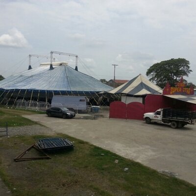 Profile Picture of Martín Neira (@martinneira11) on Twitter