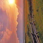 Profile Picture of McNutt (@southambersha) on Instagram