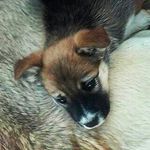 Its Jeremysabo - Instagram Profile Picture of Its Jeremysabo (@jeremy_sabo2) on Instagram