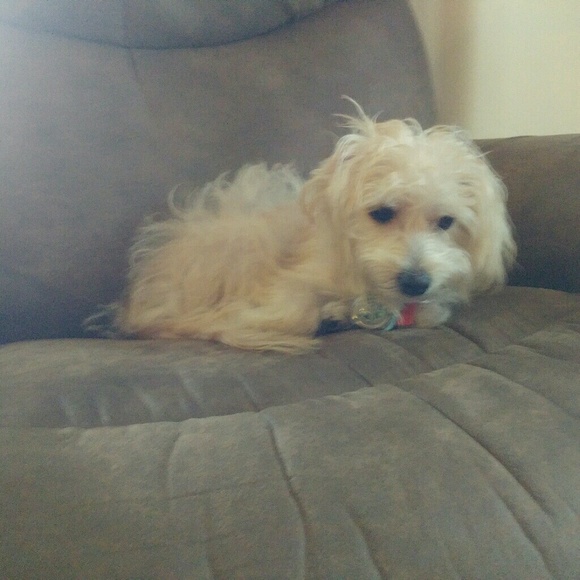 Profile Picture of Judy Byers (@jjbbyers) on Poshmark