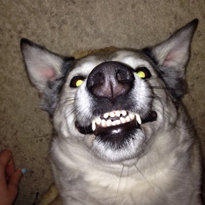 Profile Picture of Larry Cullins (@larry_cullins) on Twitter