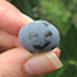 Profile Picture of Laura (@laur.daniels) on Flickr