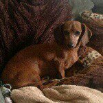 Profile Picture of Tara Moody (@taram2_10) on Instagram